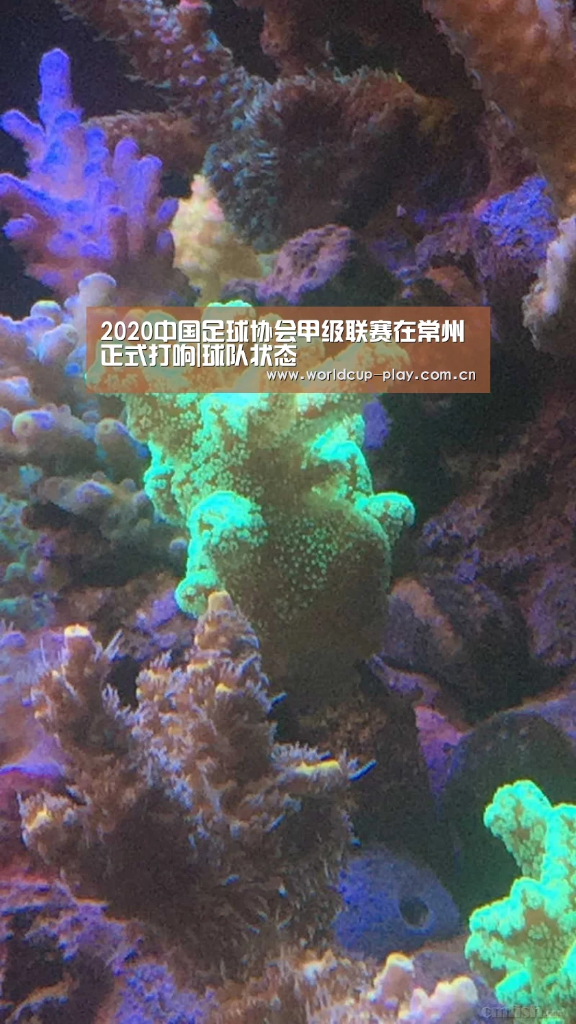 2020中国足球协会甲级联赛在常州正式打响|球队状态(图4) 世界杯预测