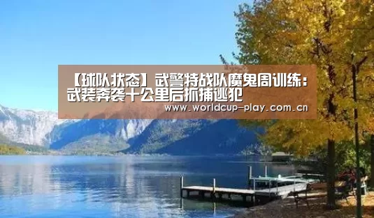 球队状态
