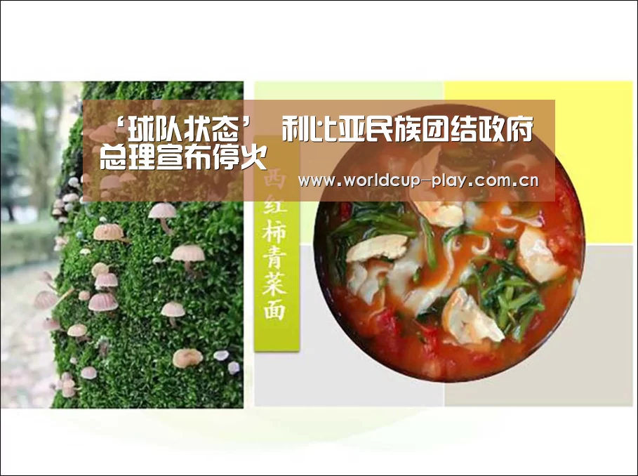 ‘球队状态’
利比亚民族团结政府总理宣布停火(图3) 世界杯预测